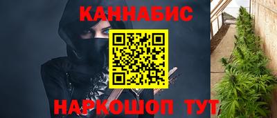 мяу мяу мука Кизилюрт