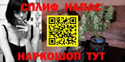 мяу мяу мука Кизилюрт